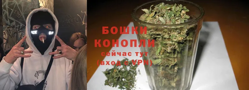 как найти наркотики  Борисоглебск  Бошки Шишки White Widow 